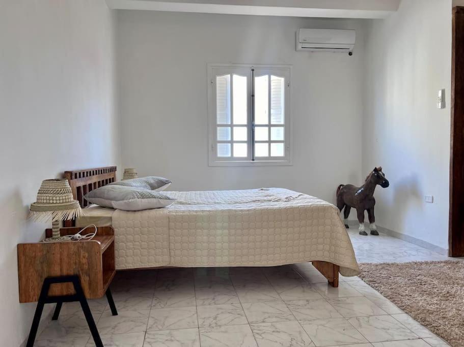 Dar Zakaria Toursitic Area Apartment Тозьор Екстериор снимка